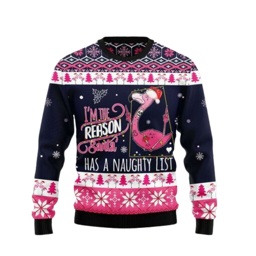 I Am The Reason Santa Has A Naughty Ugly Christmas Sweater For Men & Women Christmas Gift Sweater US1287 - WeCustomit